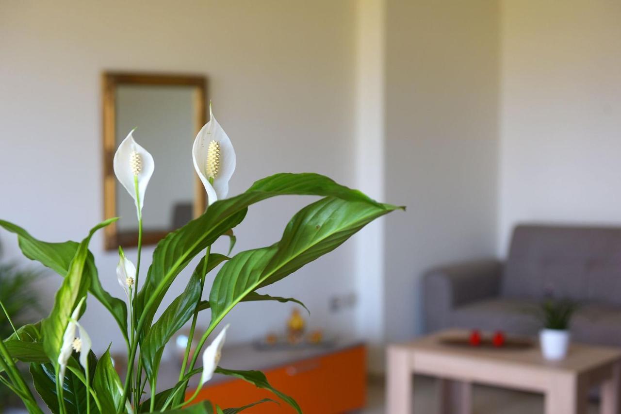 Stelia Luxury Apartments Kalavárda Exteriér fotografie